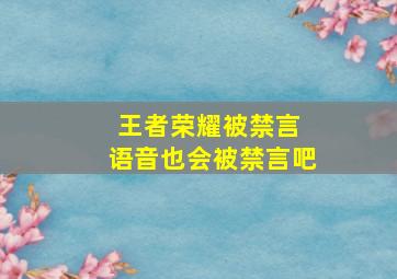 王者荣耀被禁言 语音也会被禁言吧